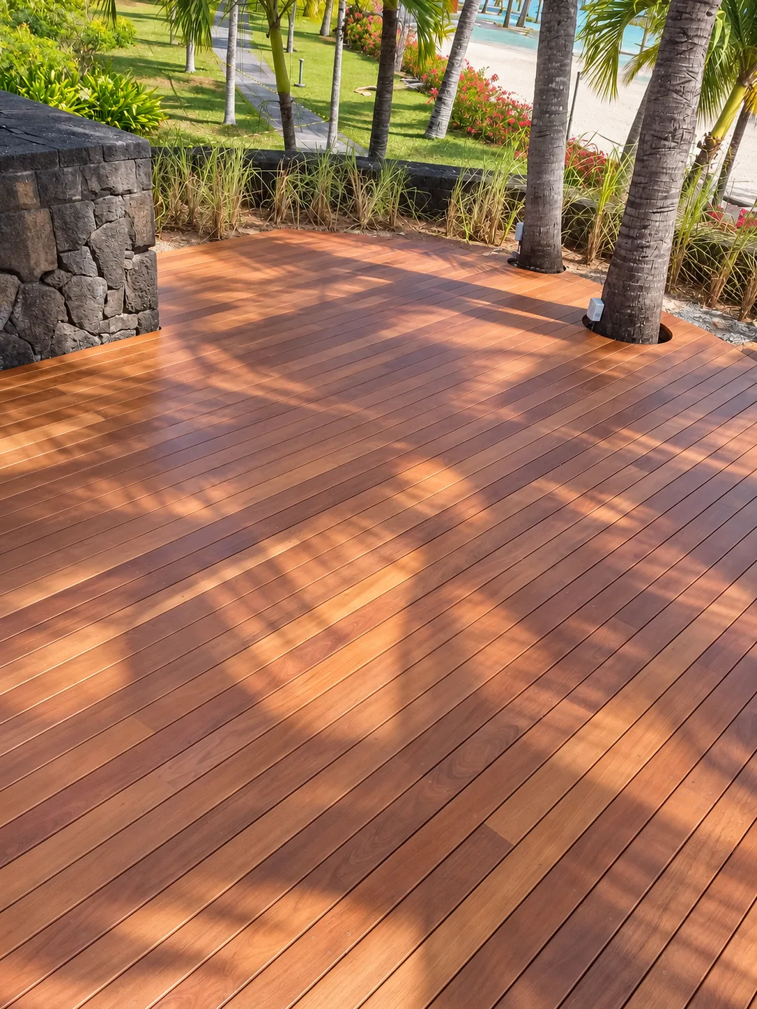 Vue large du deck bois terminé autour des palmiers